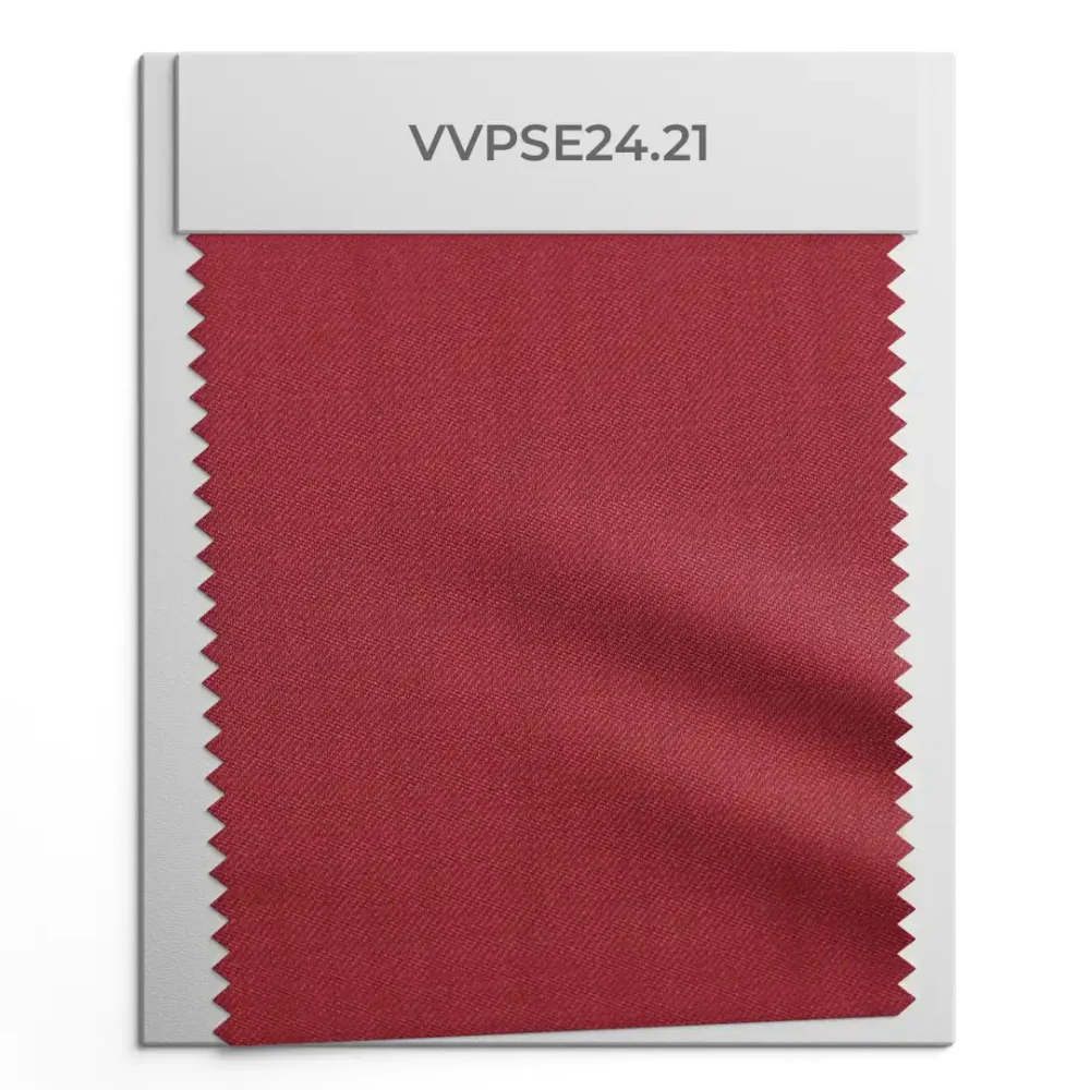 VVPSE24.21